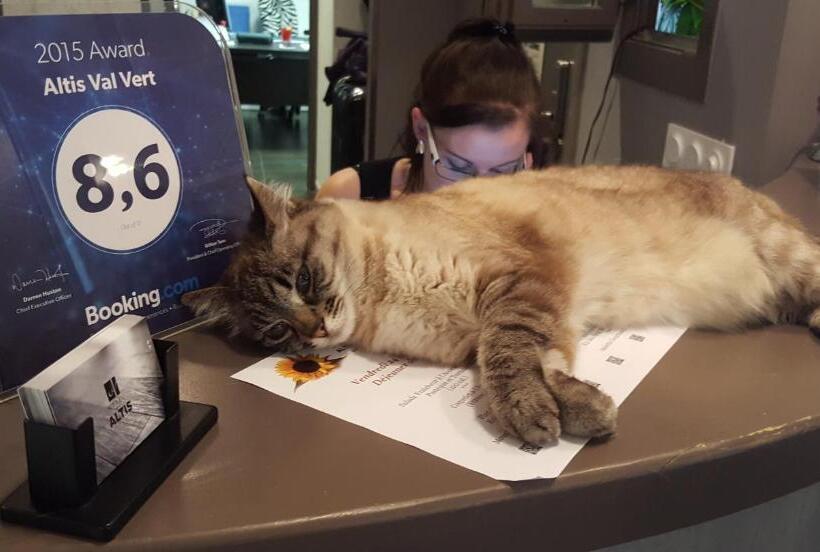 酒店 Altis Val Vert