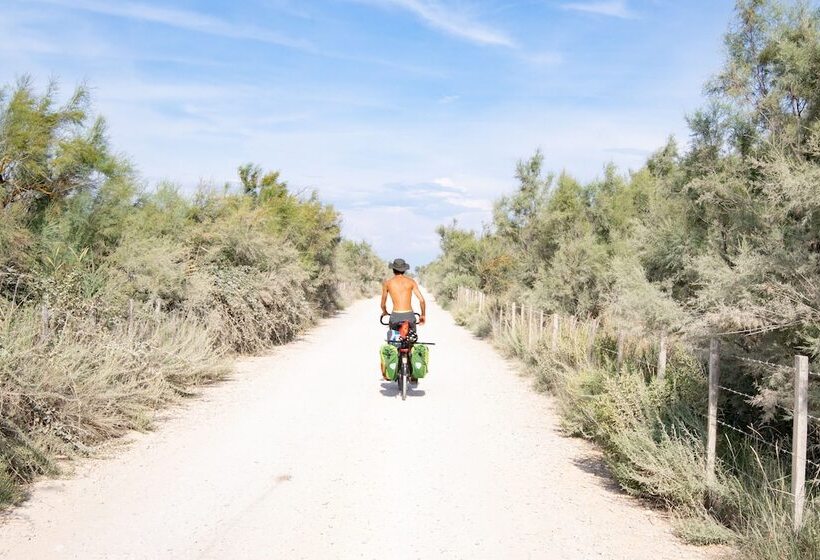 فندق Arles Plaza