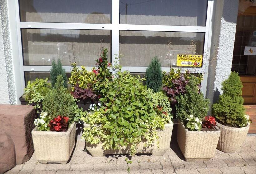 בית מלון כפרי Au Logis Des Ours