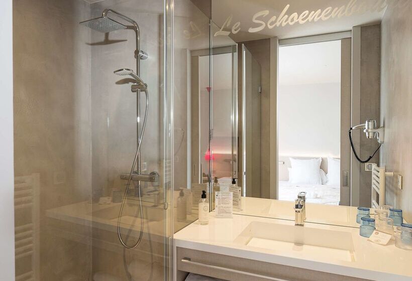 Best Western Hotel & Spa Le Schoenenbourg   Riquewihr   Proche Colmar