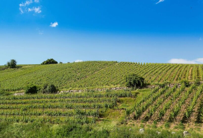 Best Western Hotel & Spa Le Schoenenbourg   Riquewihr   Proche Colmar