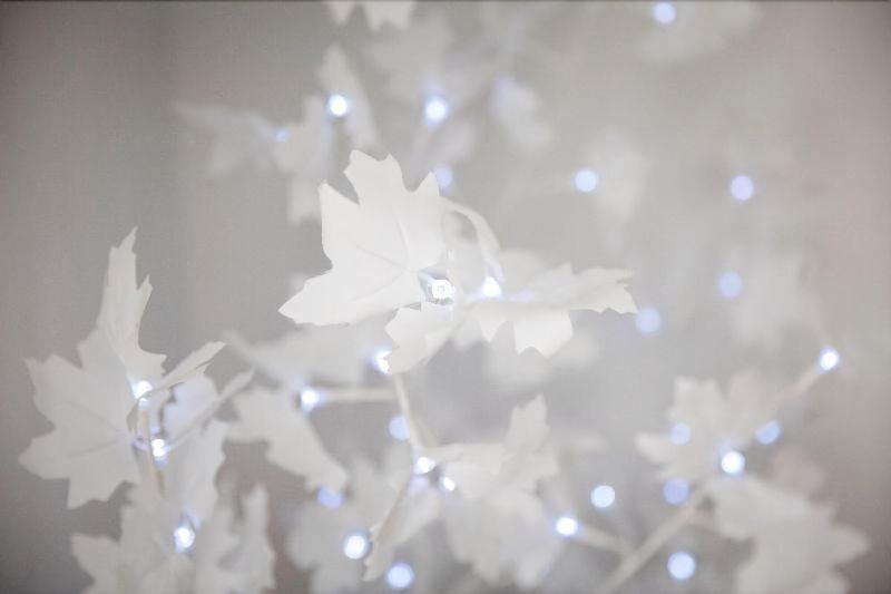 בית מלון כפרי Cannes Croisette