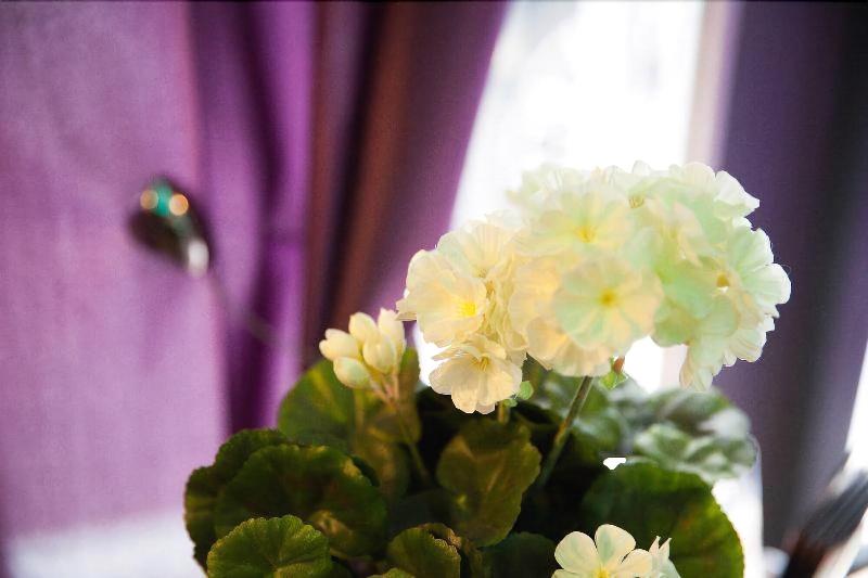 בית מלון כפרי Cannes Croisette