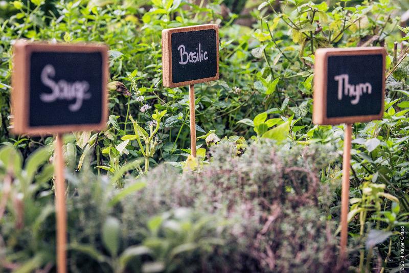 酒店 Spa & Restaurant Cantemerle