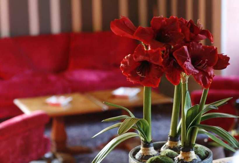 فندق Château De Castel Novel