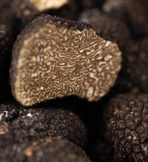 فندق De La Poste