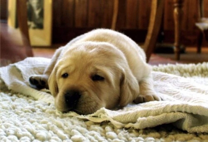 ホテル Des Princes, Chambery Centre