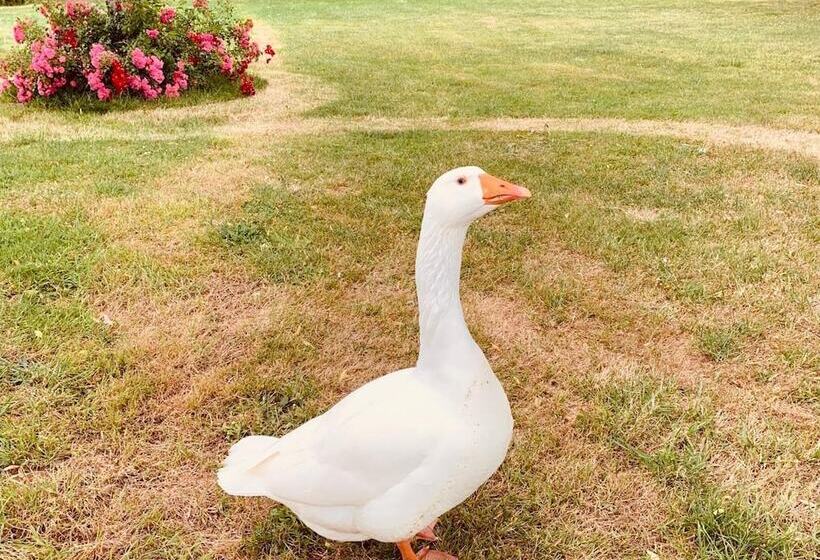 ホテル Domaine De Roullet