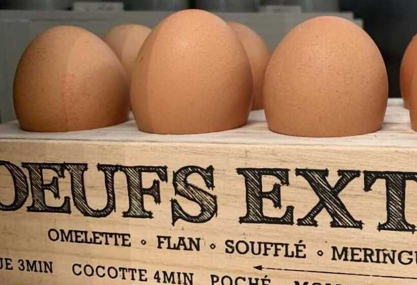 ホテル Domaine De Roullet