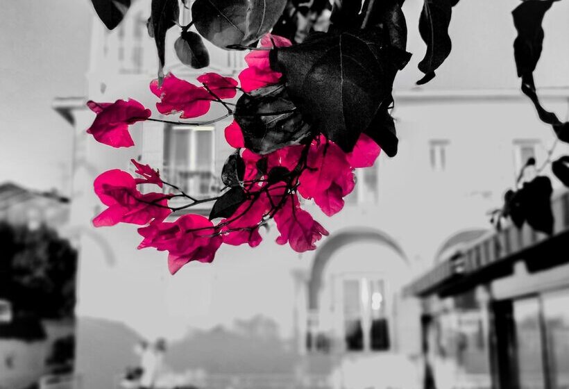 فندق Et Appartements Reine D Azur