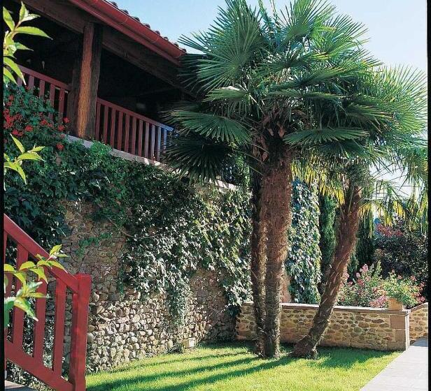 בית מלון כפרי Hôtel Des Pyrénées