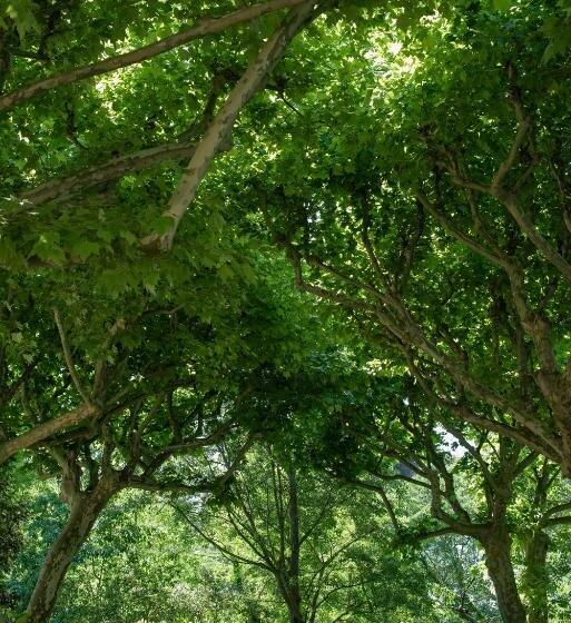 酒店 Hôtel Montmirail