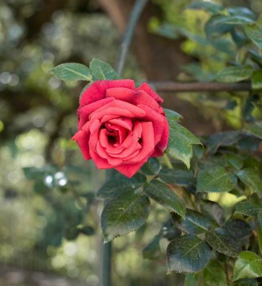 فندق Hôtel Montmirail