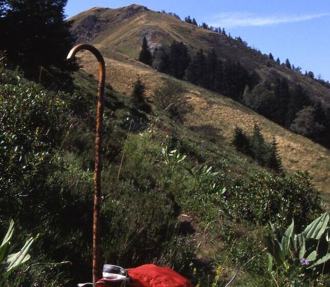 Отель Hôtel Panoramic