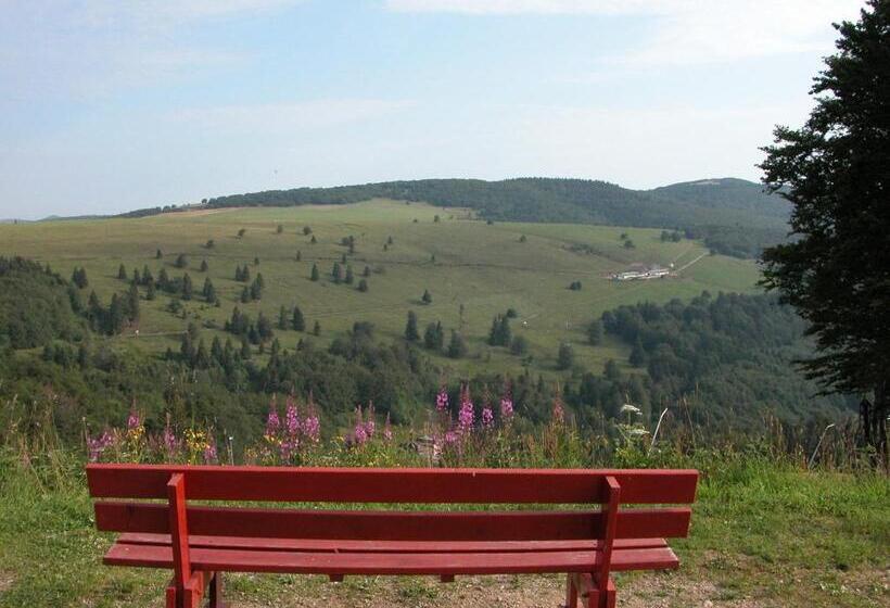 酒店 Hôtel Restaurant Wolf