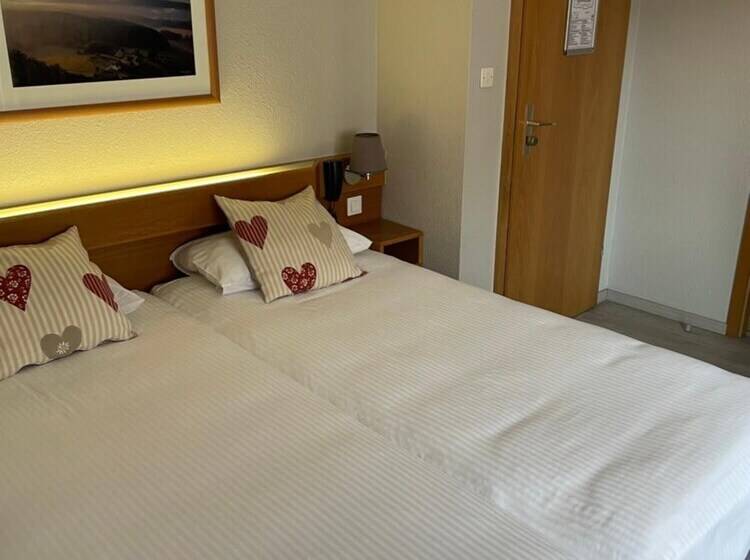 酒店 Hôtel Sainte Odile