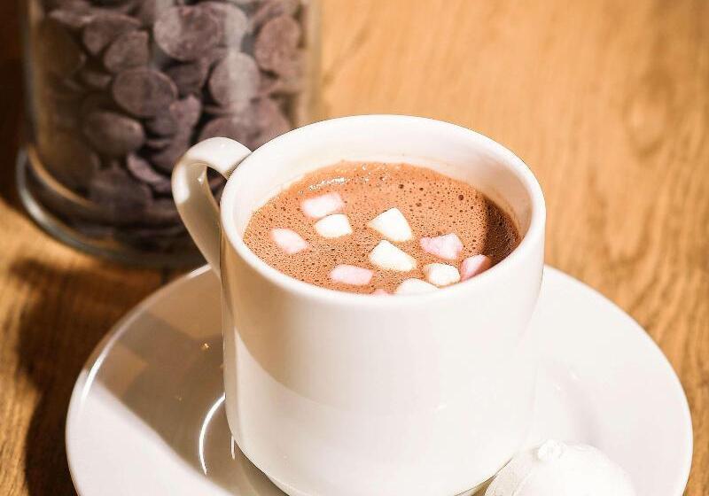 هتل Ibis Dijon Gare