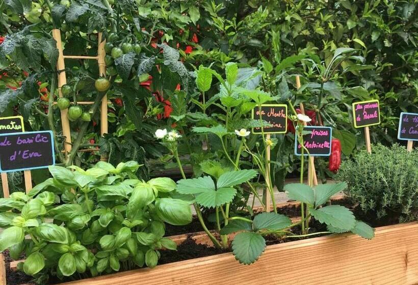 ホテル Ibis Paris Gare Du Nord La Fayette