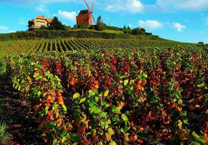 هتل Ibis Styles Reims Centre