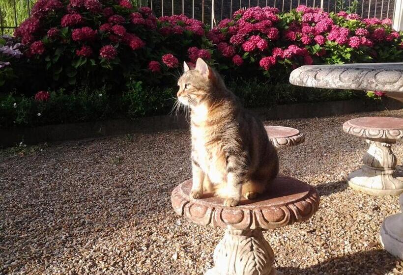 فندق La Renaudière