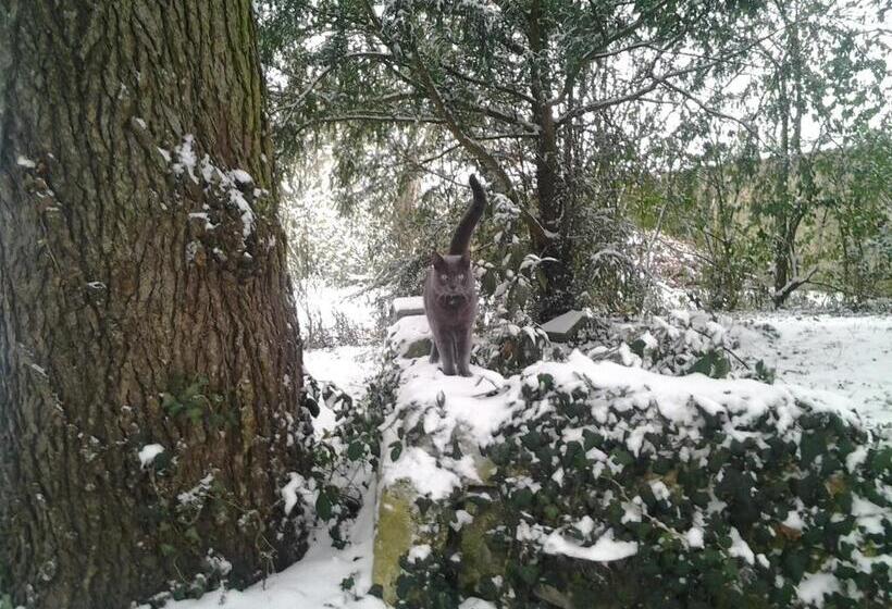 فندق La Renaudière