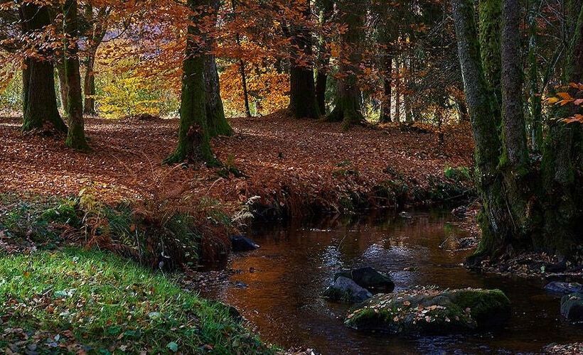Отель Le Relais Des Lacs Bourgogne Morvan