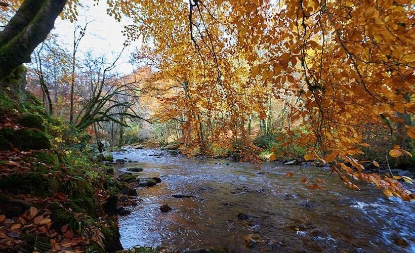 Отель Le Relais Des Lacs Bourgogne Morvan