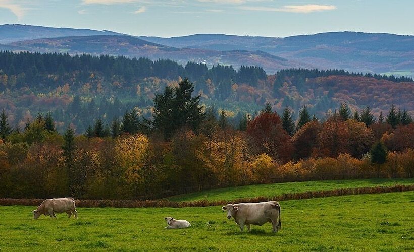 Отель Le Relais Des Lacs Bourgogne Morvan