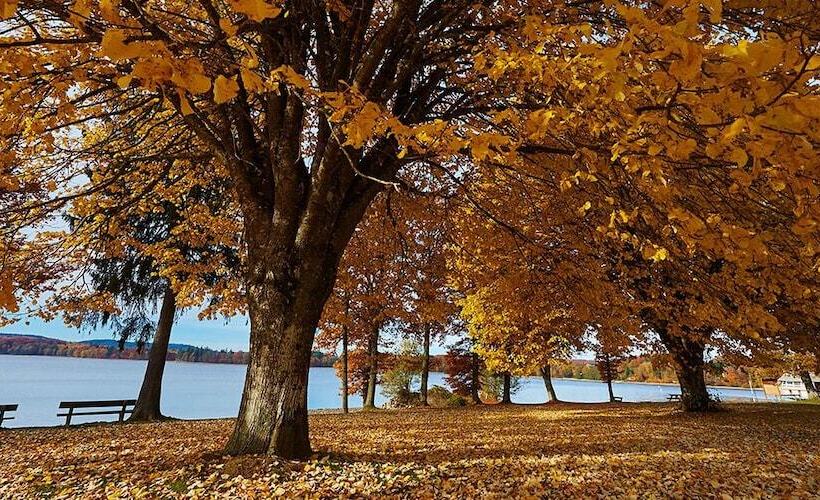 Отель Le Relais Des Lacs Bourgogne Morvan