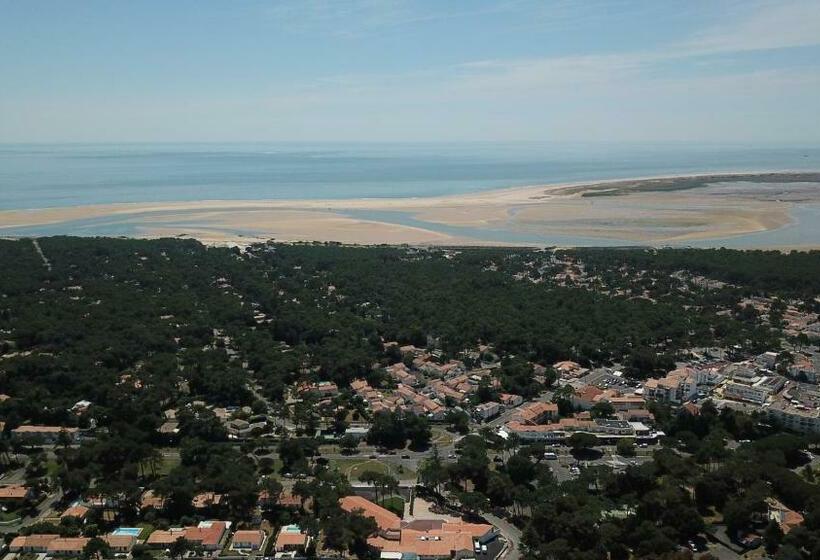 Отель Au Palmyre Hôtel