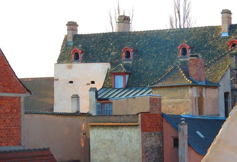 ホテル Patricia Strasbourg Hyper Centre