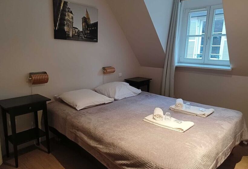 ホテル Patricia Strasbourg Hyper Centre