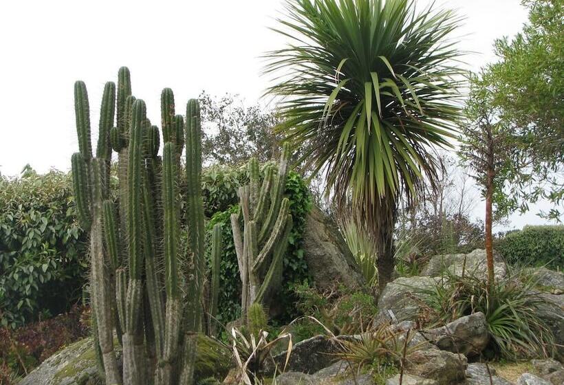 ホテル Regina Roscoff