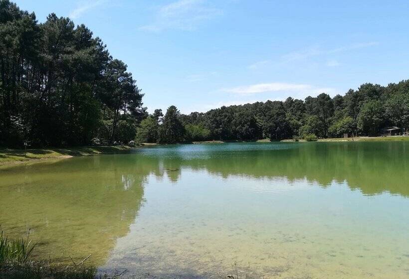 호텔 Restaurant Logis Le Tropicana