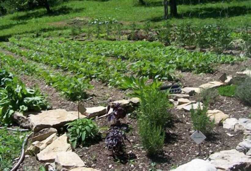 בית מלון כפרי Hôtel Taillard