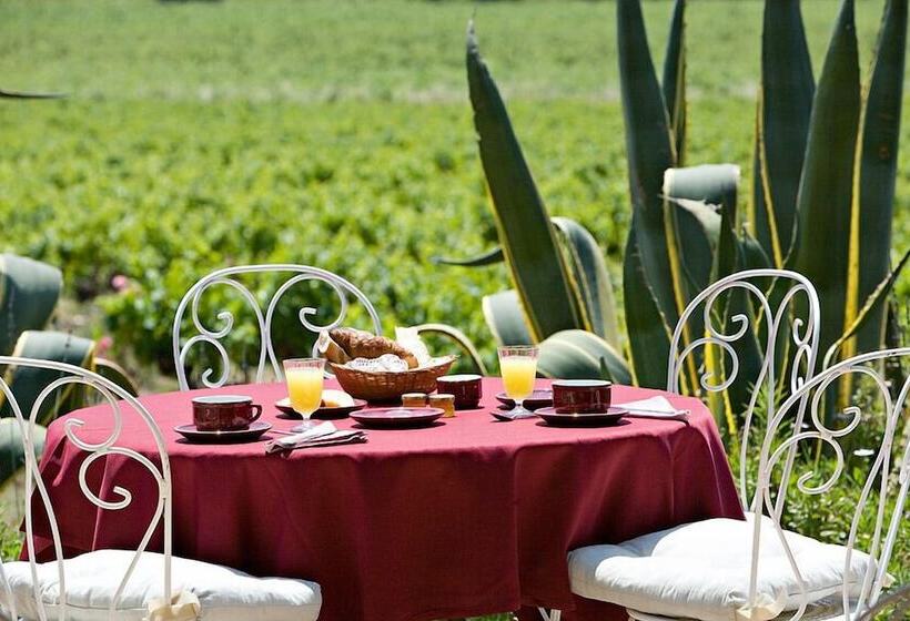 酒店 Hôtel Saint Vincent