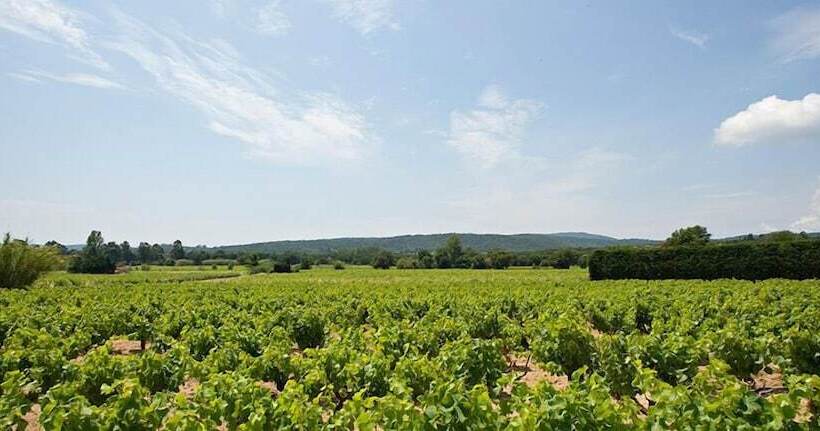 酒店 Hôtel Saint Vincent