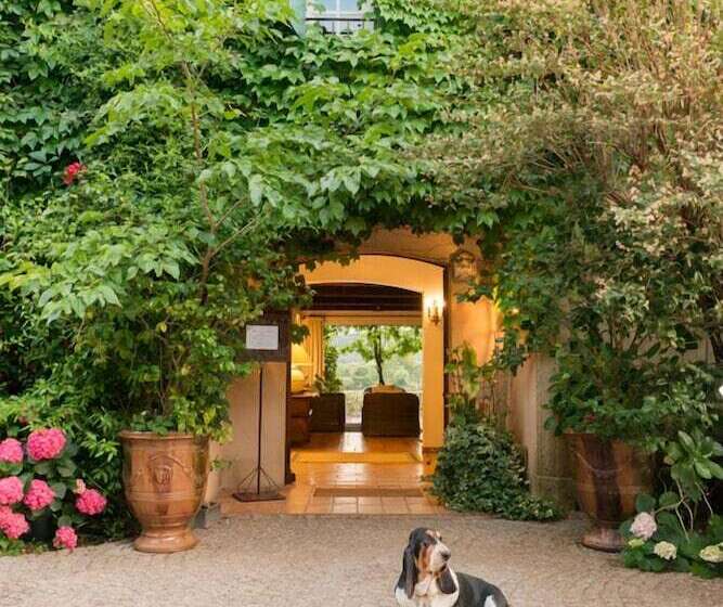 酒店 Hôtel Saint Vincent