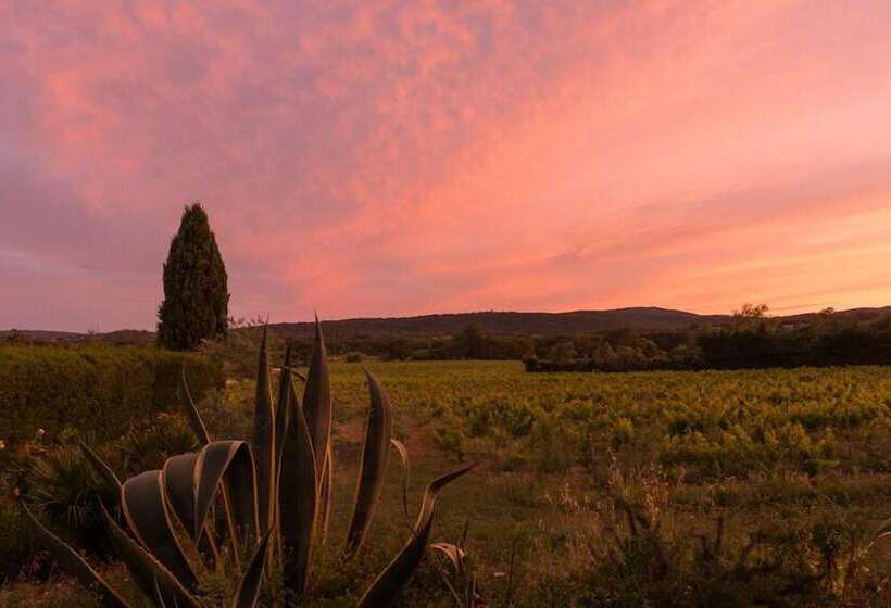 酒店 Hôtel Saint Vincent