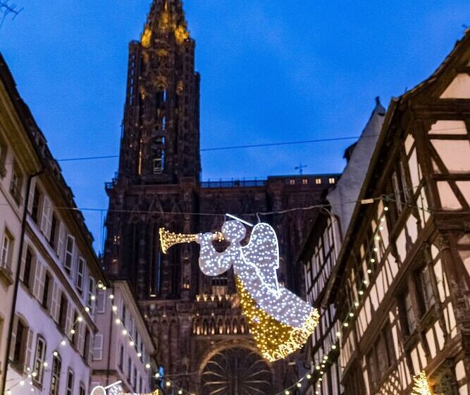 Отель Sofitel Strasbourg Grande Ile