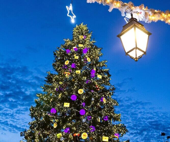 Отель Sofitel Strasbourg Grande Ile