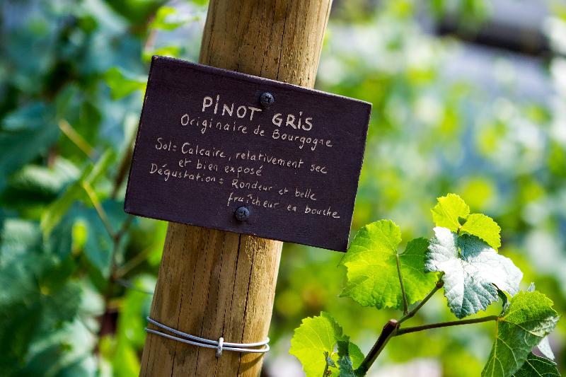 Отель Sofitel Strasbourg Grande Ile