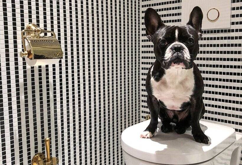 ホテル Hôtel Vernet Champs Elysées Paris