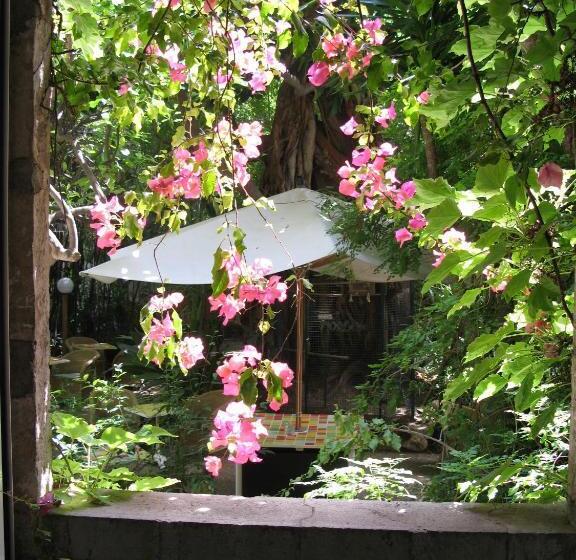 ホテル Le Windsor, Jungle Art