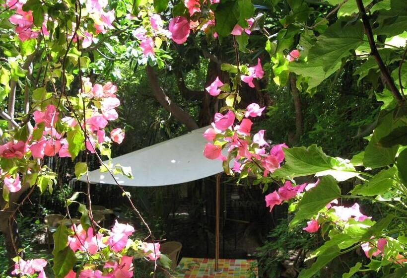 ホテル Le Windsor, Jungle Art