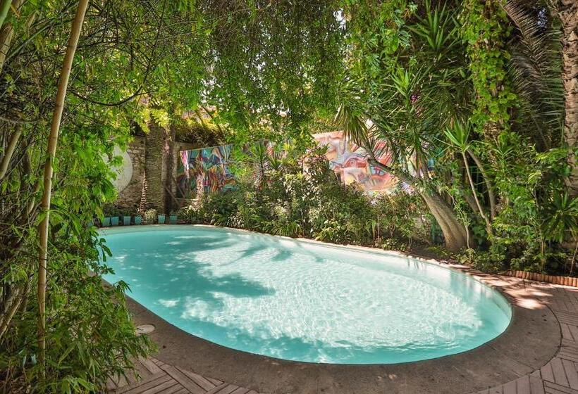 ホテル Le Windsor, Jungle Art