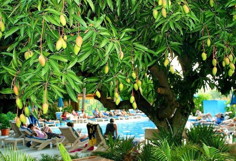 모텔 Nadi Bay Resort