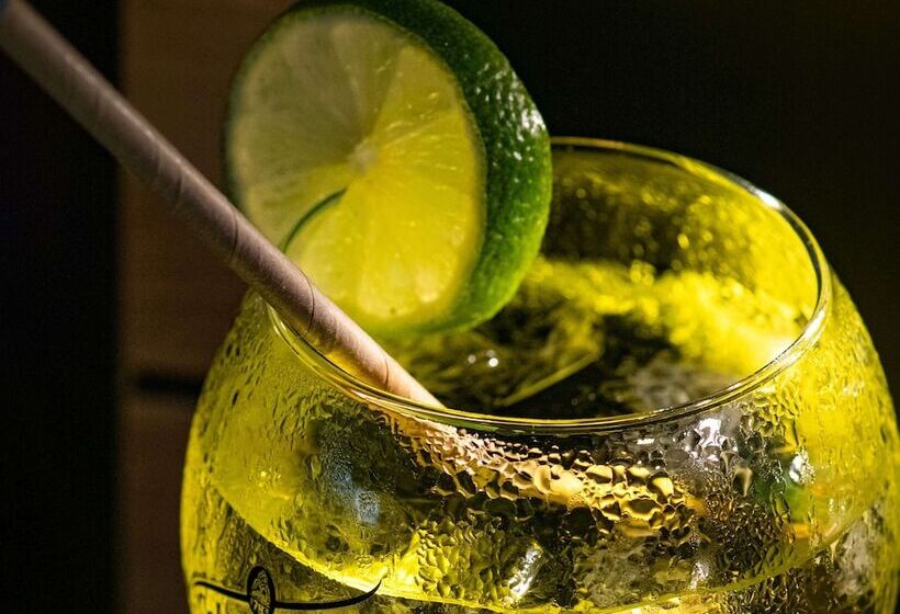 Novotel Antibes Sophia Antipolis