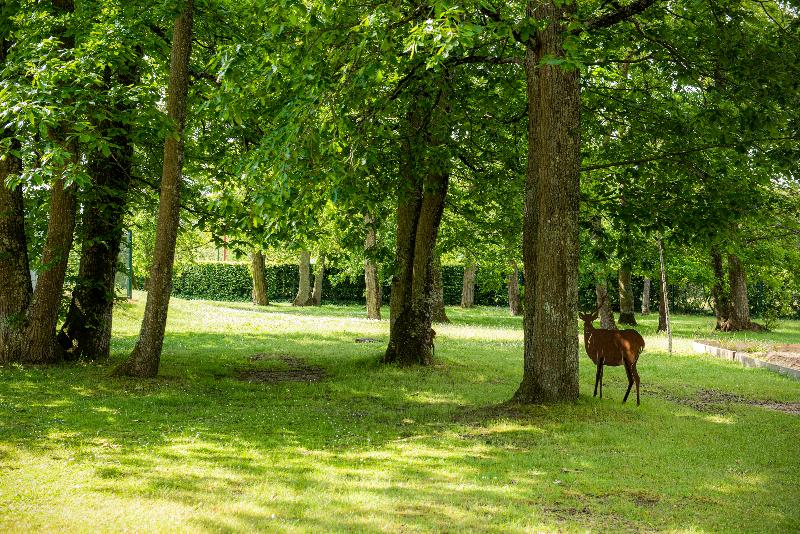 Novotel Orléans Chemins De Sologne Demeures De Campagne