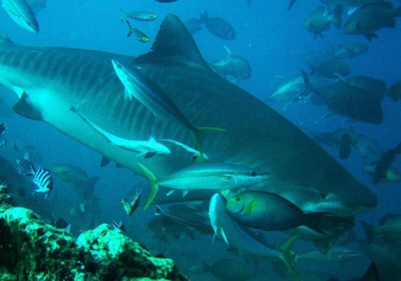 The Pearl South Pacific Resort, Spa & Golf Course